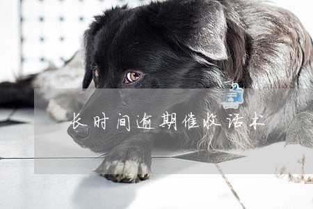长时间逾期催收话术 长时间逾期催收话术