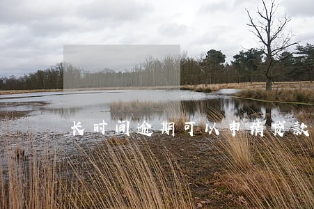 长时间逾期可以申请贷款吗 长时间逾期可以申请贷款吗