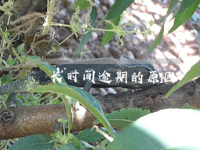 长时间逾期的原因
