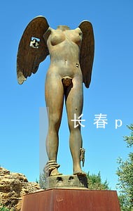 长春ppp律师 长春ppp律师