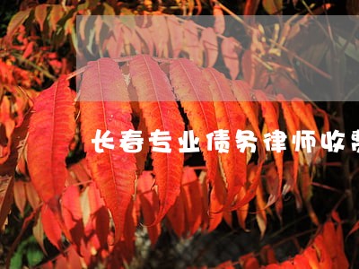 长春专业债务律师收费标准 长春专业债务律师收费标准