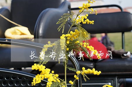 长春专业刑事律师网