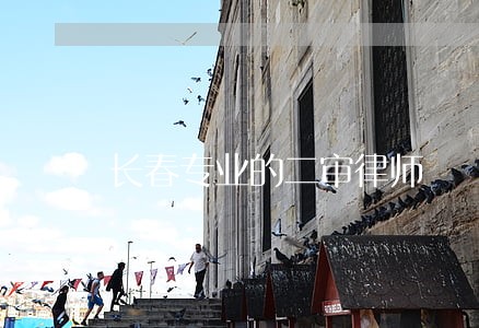 长春专业的二审律师 长春专业的二审律师