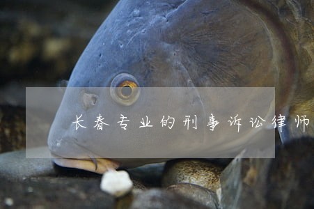 长春专业的刑事诉讼律师排行 长春专业的刑事诉讼律师排行