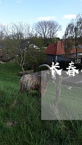 长春个人逾期律师排行 长春个人逾期律师排行