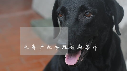 长春产权办理逾期案件 长春产权办理逾期案件