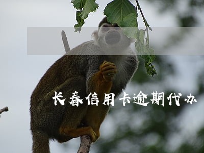 长春信用卡逾期代办 长春信用卡逾期代办
