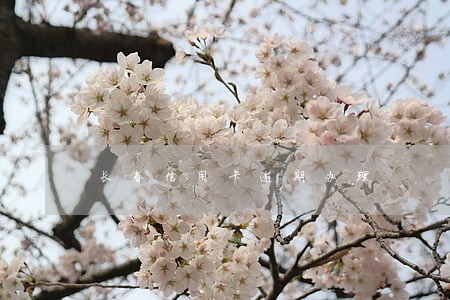 长春信用卡逾期办理 长春信用卡逾期办理