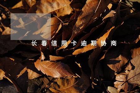 长春信用卡逾期协商 长春信用卡逾期协商