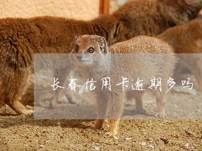 长春信用卡逾期多吗
