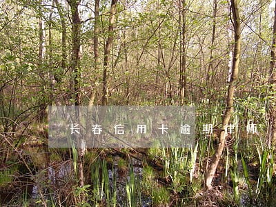 长春信用卡逾期律师 长春信用卡逾期律师