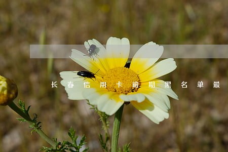 长春信用卡逾期黑名单最新 长春信用卡逾期黑名单最新