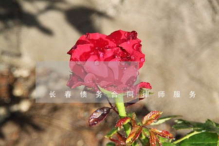 长春债务合同律师服务 长春债务合同律师服务