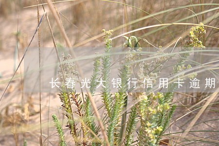 长春光大银行信用卡逾期 长春光大银行信用卡逾期