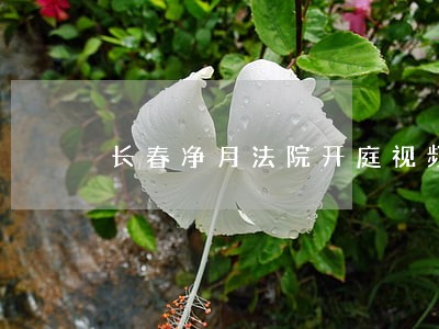 长春净月法院开庭视频 长春净月法院开庭视频