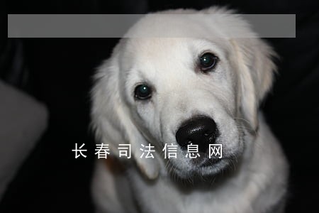 长春司法信息网 长春司法信息网