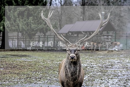 长春司法公证处 长春司法公证处