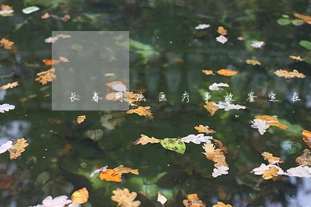 长春司法医疗事故鉴定在哪里 长春司法医疗事故鉴定在哪里