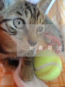 长春司法警官职业学院宿舍 长春司法警官职业学院宿舍