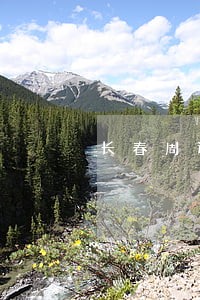 长春周边债务合同律师怎么委托 长春周边债务合同律师怎么委托