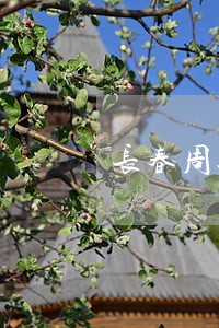长春周边债务合同律师风险代理 长春周边债务合同律师风险代理