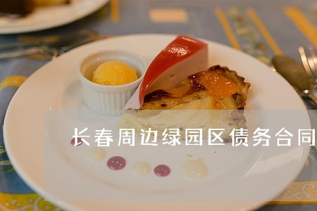 长春周边绿园区债务合同律师 长春周边绿园区债务合同律师