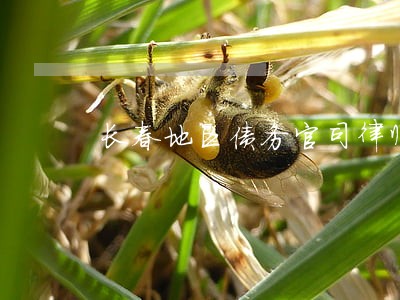 长春地区债务官司律师怎么请 长春地区债务官司律师怎么请