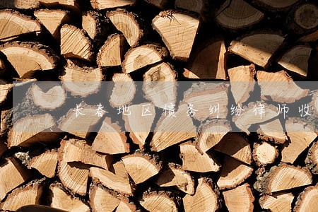 长春地区债务纠纷律师收费标准 长春地区债务纠纷律师收费标准