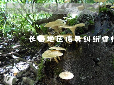 长春地区债务纠纷律师电话