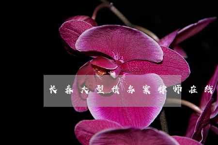 长春大型债务案律师在线咨询 长春大型债务案律师在线咨询