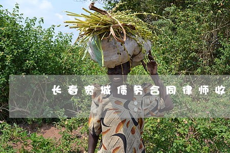长春宽城债务合同律师收费标准 长春宽城债务合同律师收费标准