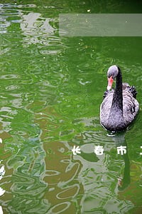 长春市二道区法院公共网 长春市二道区法院公共网