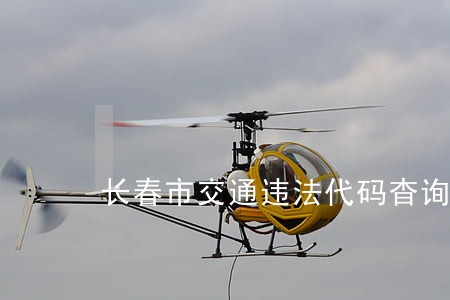长春市交通违法代码杳询 长春市交通违法代码杳询