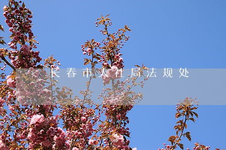 长春市人社局法规处 长春市人社局法规处
