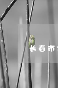 长春市代理刑事方面的律师 长春市代理刑事方面的律师