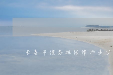 长春市债务担保律师多少钱 长春市债务担保律师多少钱