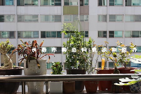 长春市典当网有逾期能办吗 长春市典当网有逾期能办吗