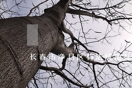 长春市净月区有法院地址