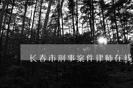 长春市刑事案件律师在线咨询
