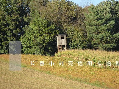 长春市刘亮信用卡逾期 长春市刘亮信用卡逾期