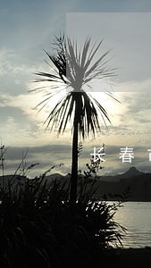 长春市天富御苑逾期不办理产权 长春市天富御苑逾期不办理产权