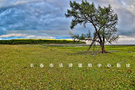 长春市法律援助中心新址 长春市法律援助中心新址