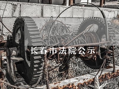 长春市法院公示 长春市法院公示