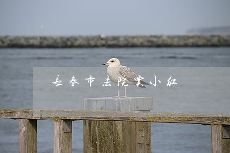 长春市法院贾小红 长春市法院贾小红