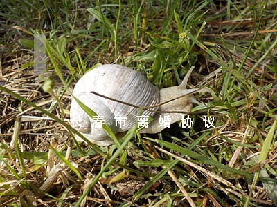 长春市离婚协议 长春市离婚协议