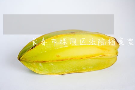 长春市绿园区法院档案室 长春市绿园区法院档案室