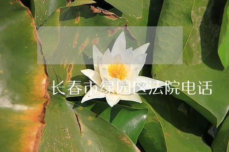 长春市绿园区法院电话 长春市绿园区法院电话