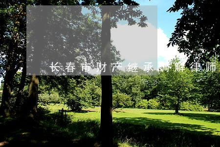 长春市财产继承调解律师咨询 长春市财产继承调解律师咨询