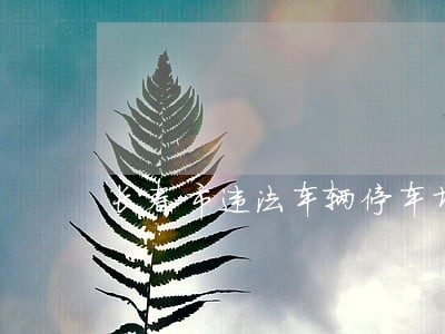 长春市违法车辆停车场 长春市违法车辆停车场