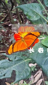 长春市驾驶证违法查询 长春市驾驶证违法查询